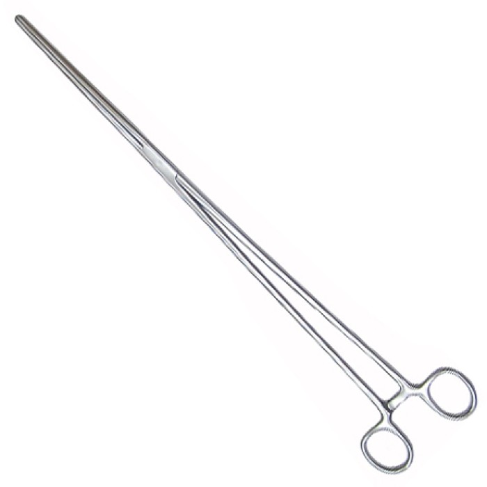 Reptile Feeding Forceps